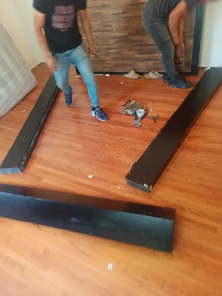 House Moving